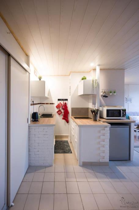 Le Nid Aux Mouettes Apartman La Parée Preneau Kültér fotó
